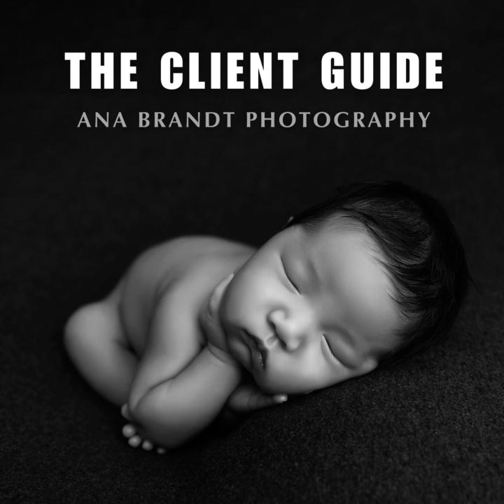 CLIENT GUIDE