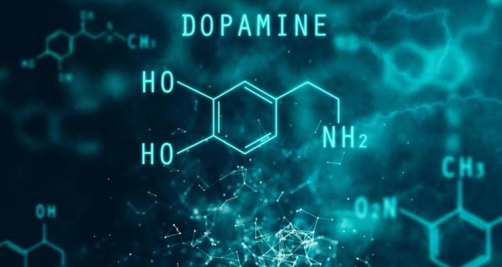 Dopamine Discipline Hub