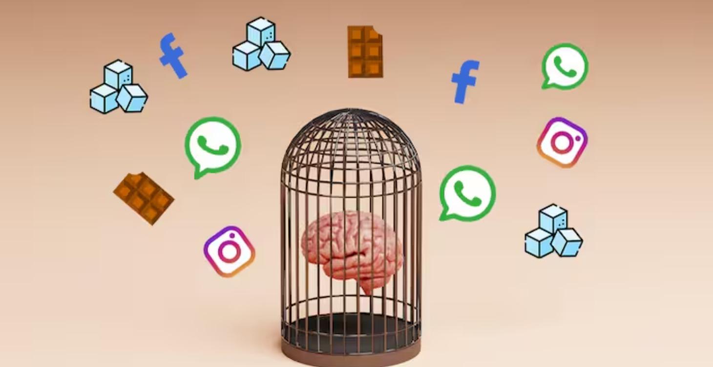 DOPAMINE RESET TRAINING