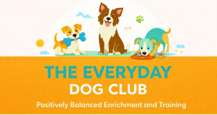 Everyday Dog Club