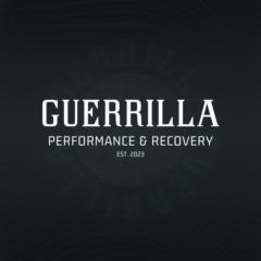 The Guerrilla Blueprint