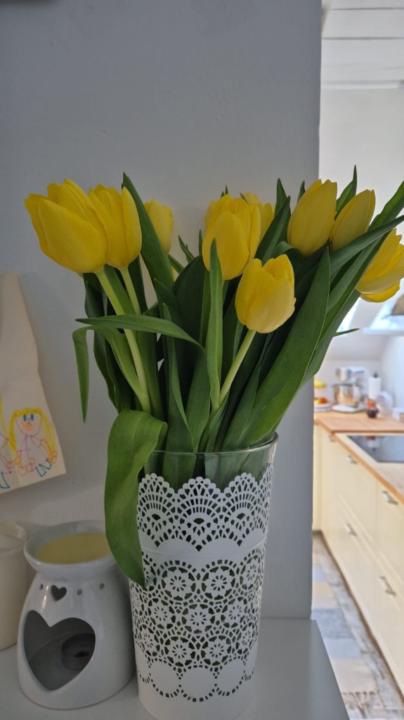 Michaela Hrabčáková