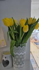 Michaela Hrabčáková