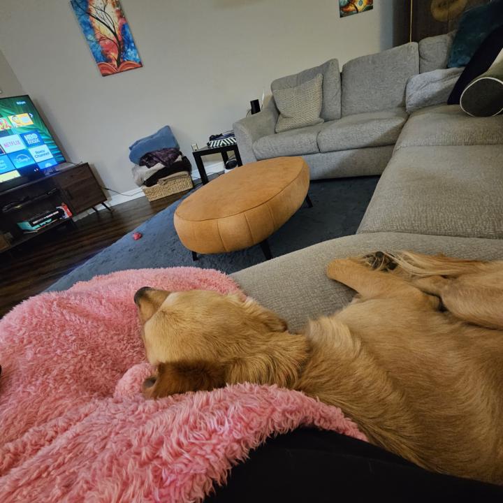 One of my favorite things about earth is...