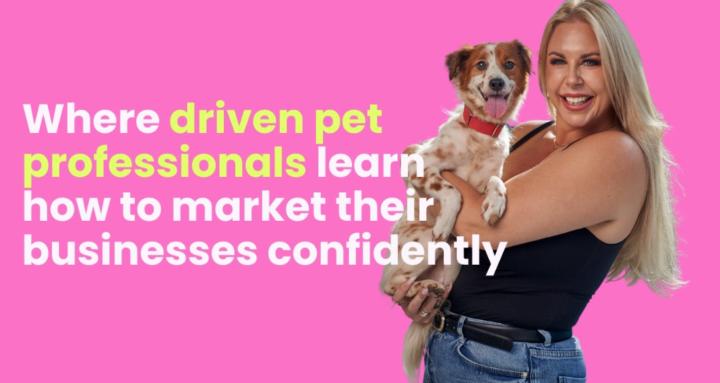 The Social Dog Company