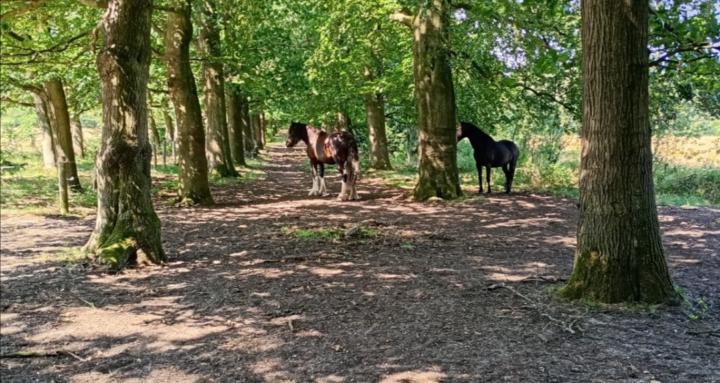 Gezond Op Weg