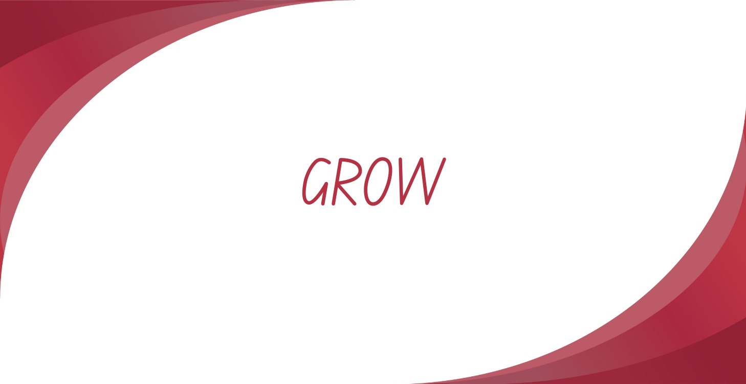 Grow Beyond 1:1 Clients