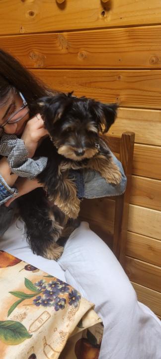 Jeannette Mejías Roa