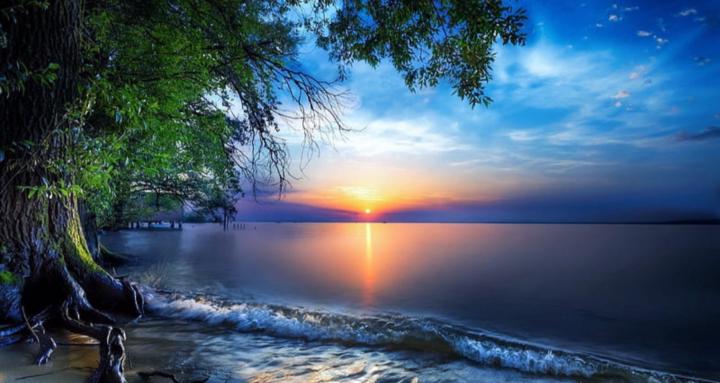 Hidden Health Holistics