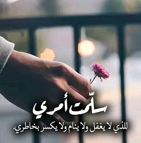 مي حسن