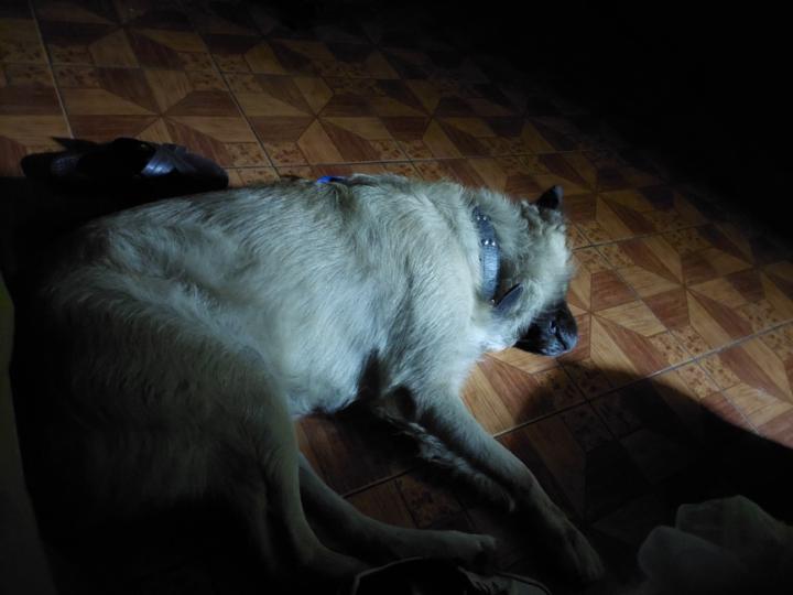 Victor Raul Huamani Huaman