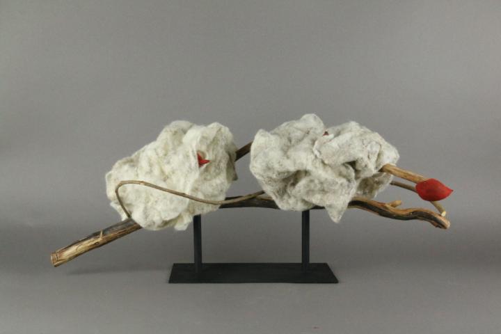 Rianne Machielse