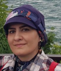 Parya Norouzzadeh