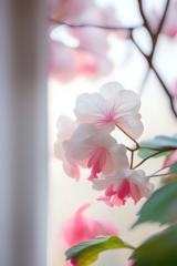 شيماء عبدالله