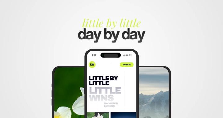 Little Wins