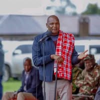 Albert Njeri