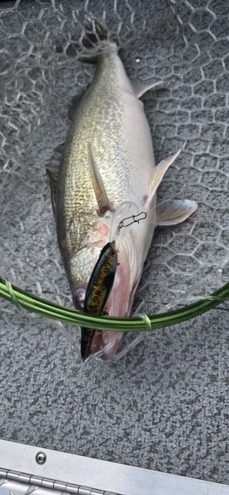 Early springwalleye fishing