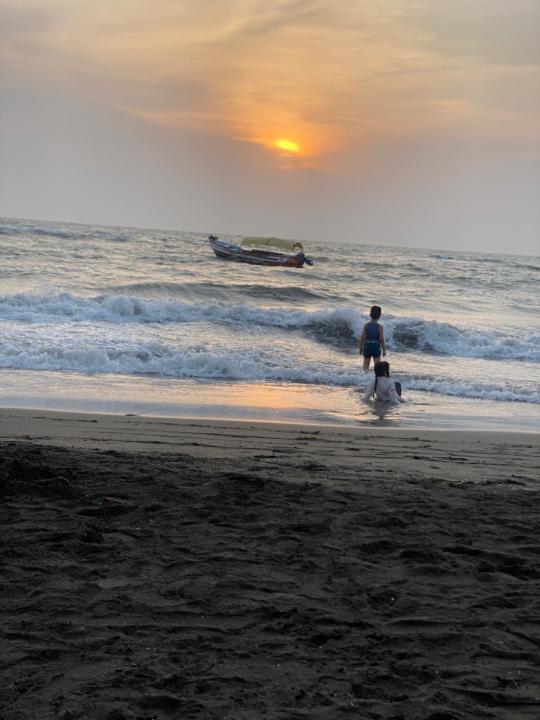 سيدرا نصر الاضرعي