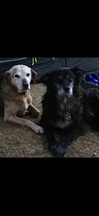 Michael Macandrew-Hughes