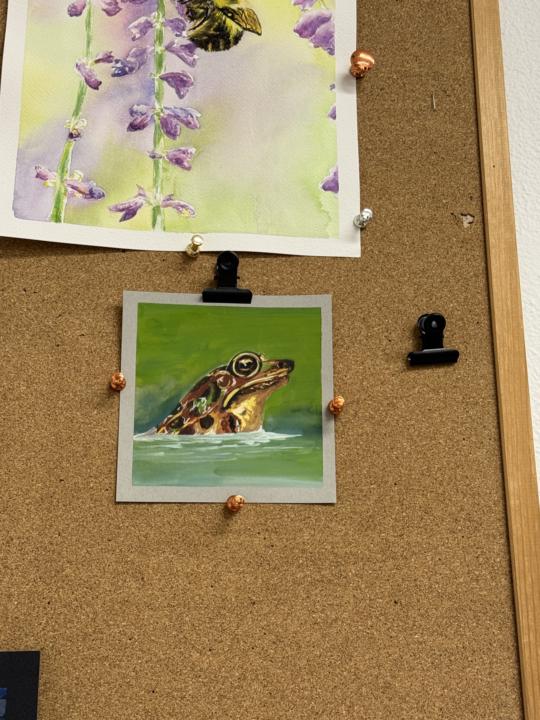 Frog Gouache