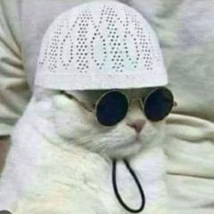 Talha Shafiq