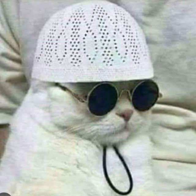 Talha Shafiq