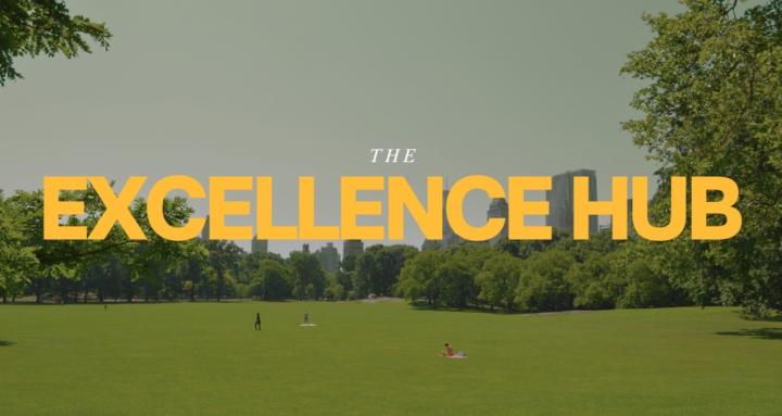 The Excellence Hub