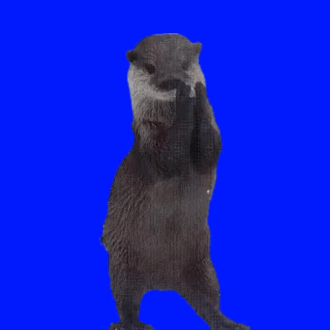 OLGG RAIIIIIIDDDDDDD 🦦🦦🦦🦦🦦