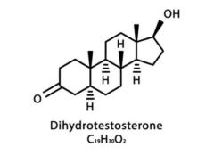 Sacha Cosson Boukrouh