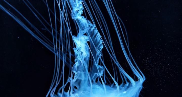 The Sacred Earth Circle