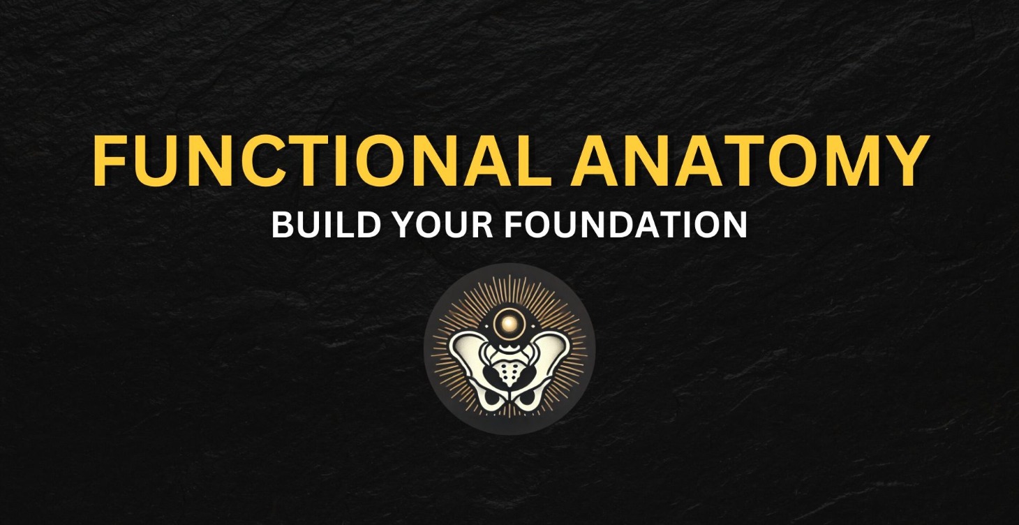 2. Functional Anatomy: Build Your Foundation