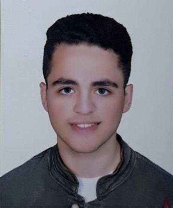 Alaa Ayman