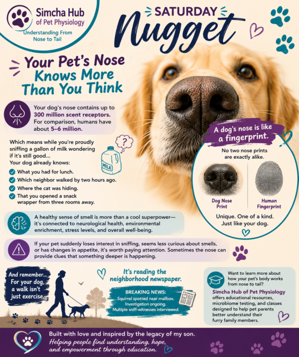 Simcha Hub of Pet Physiology -  Saturday Nugget