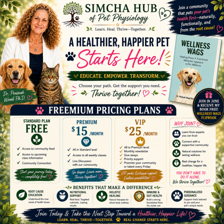 Stop Guessing. Start Understanding Your Pet's Health
