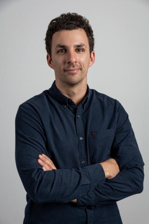 Davor Sedlan