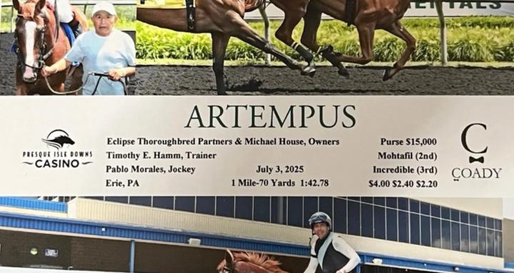 Thoroughbred knowledge