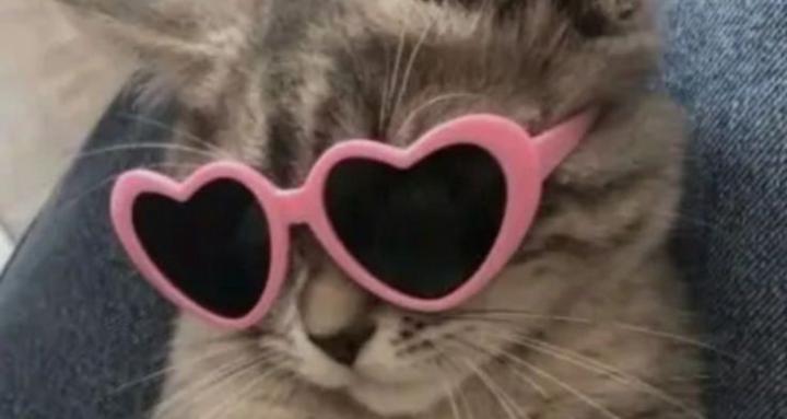 Growth with phoenix academy