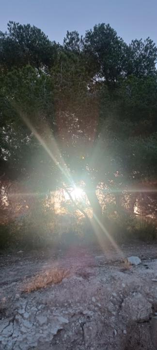 🌙 Neumond-Treffen in der Community