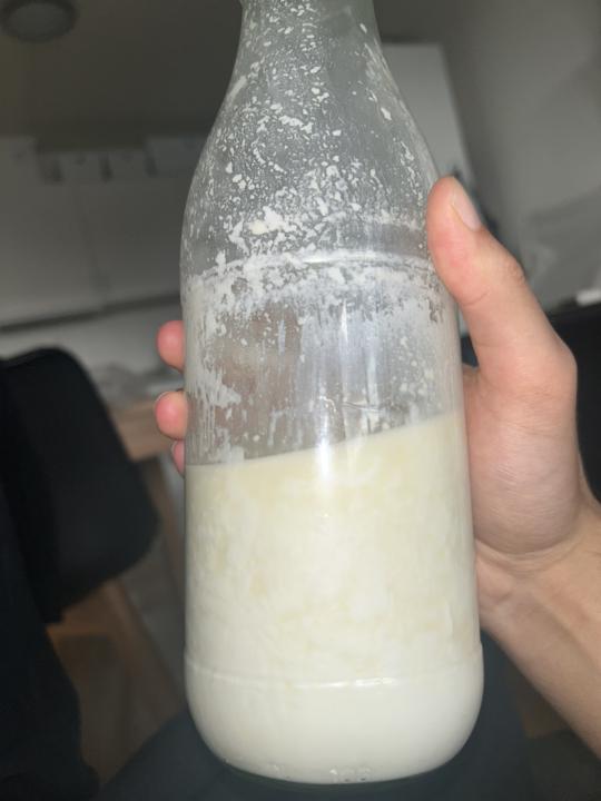 Fermented raw milk