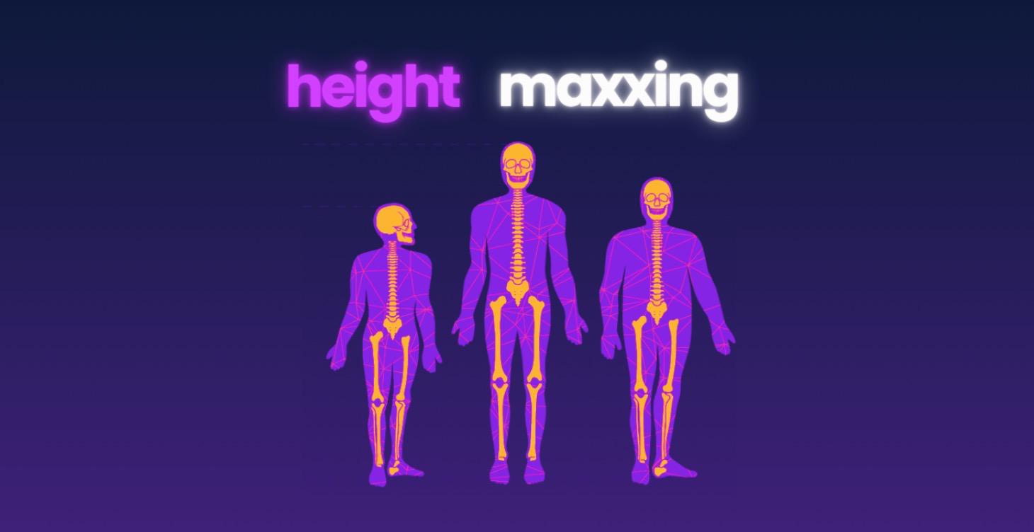 Week 6: Height & Frame Optimization 📈