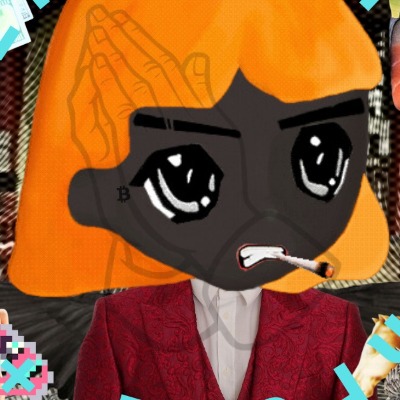 Halcyon Kingfisher
