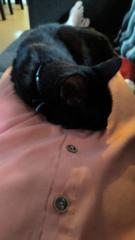 Adrian leandro Trupa