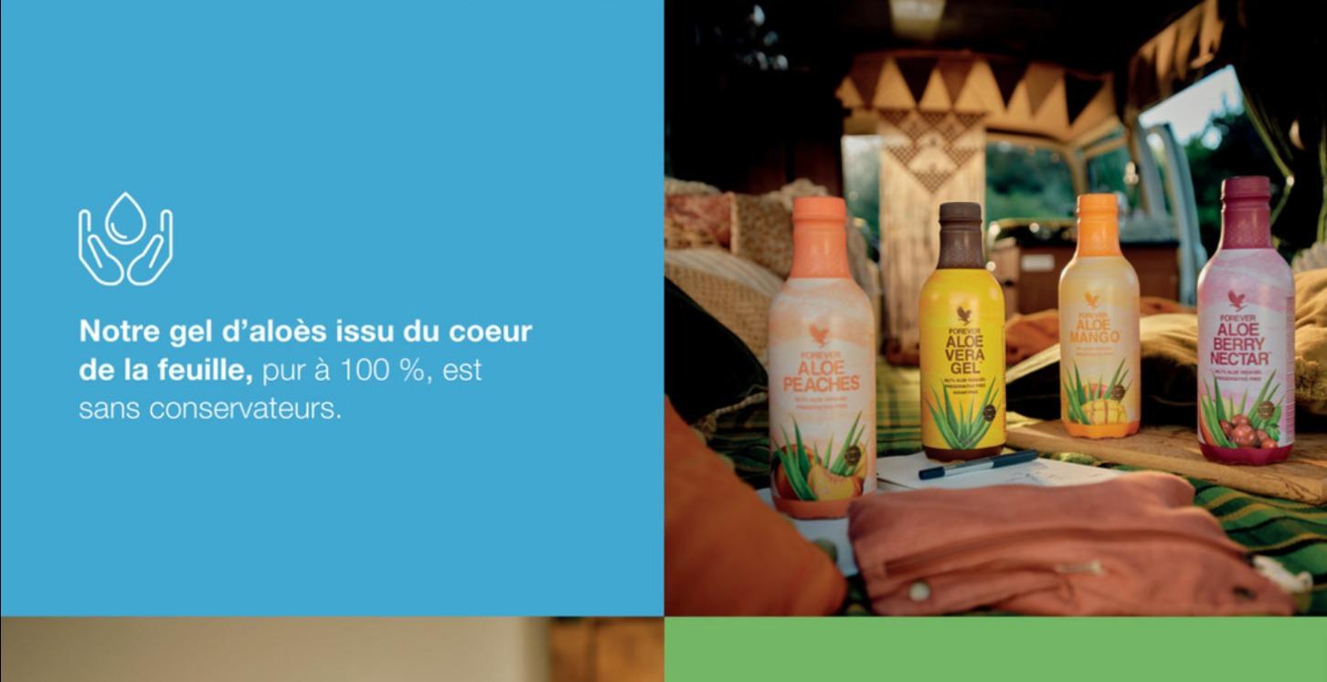 Le pouvoir de l'aloe Vera