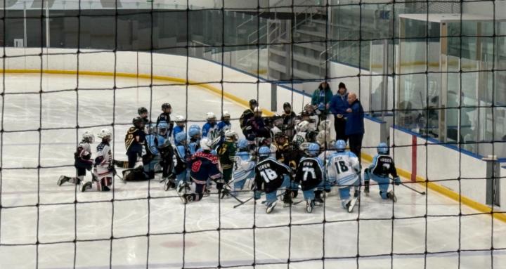 Next Level Hockey