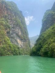 Barney Gillett Coles