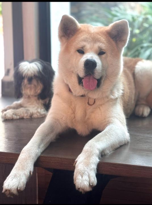 Jesus Adrian Ramirez Macias