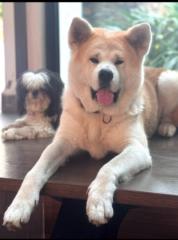 Jesus Adrian Ramirez Macias