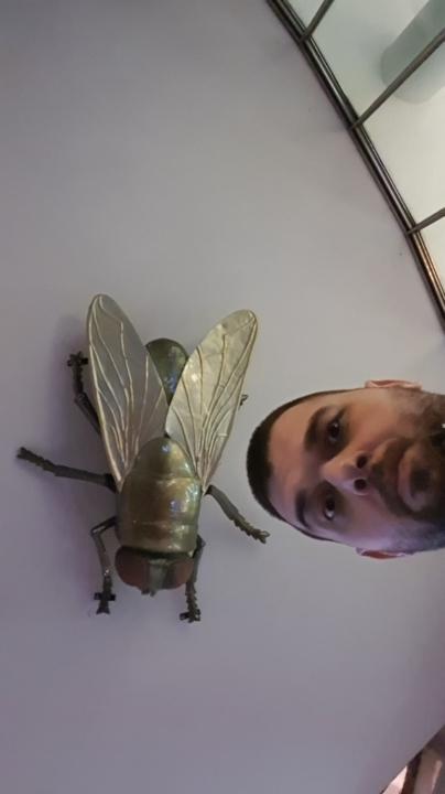 Bozidar Nikolic