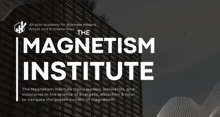 The Magnetism Institute