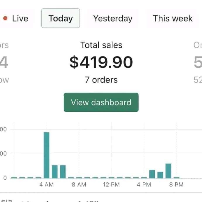 From Skeptic to $419.90 in One Day: My Dropshipping Story (Proof Inside)